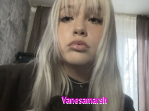Vanesamarsh