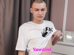 Vaneslinel
