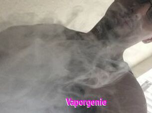 Vapor_genie
