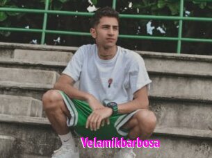 Velamikbarbosa