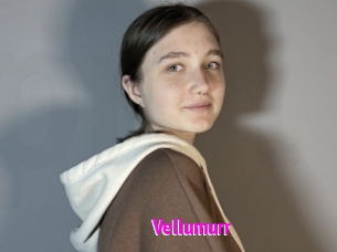 Vellumurr