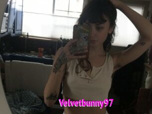 Velvetbunny97