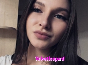 Velvetleopard