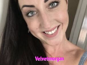 Velvetmorgan