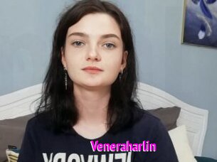Veneraharlin