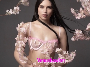Venushawker