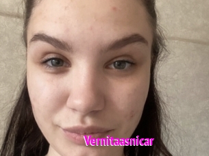 Vernitaasnicar