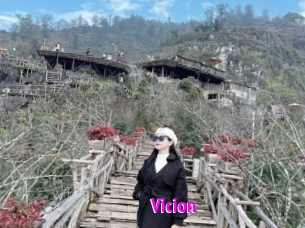Vicion