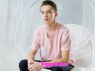Viggomister