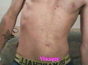 Vincegay