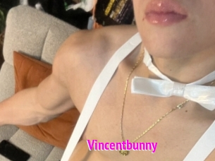Vincentbunny
