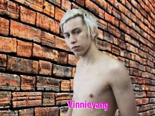 Vinnieyang