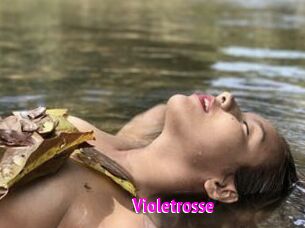 Violetrosse