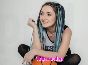 Vulgarmollyx
