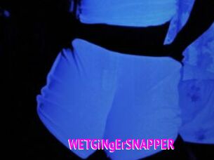 WETGiNgErSNAPPER