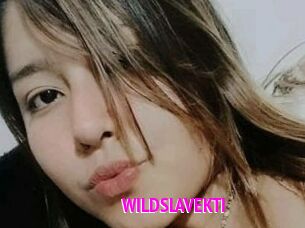 WILDSLAVEKTI