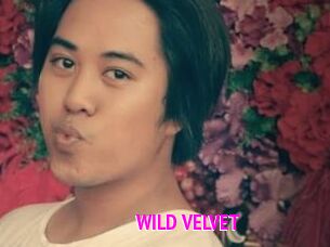 WILD_VELVET