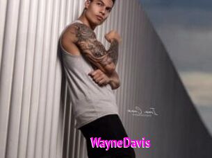 WayneDavis