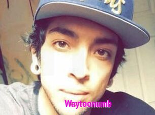 Waytoonumb