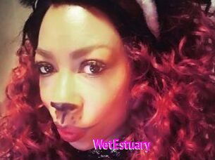 WetEstuary