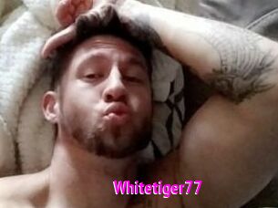 Whitetiger77