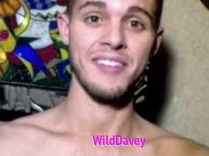 WildDavey