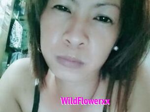 WildFlowerxx