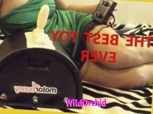 WildOrchid_
