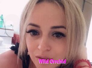 Wild_Orrchid