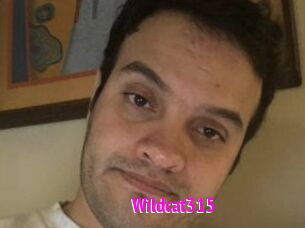 Wildcat315