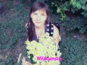 Wildcumster