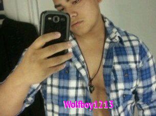 Wolfboy1213
