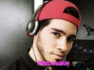 WoltCrwuaBoy