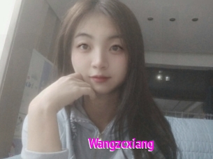 Wangzcxiang