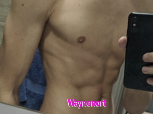 Waynenort