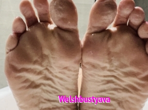 Welshbustyava