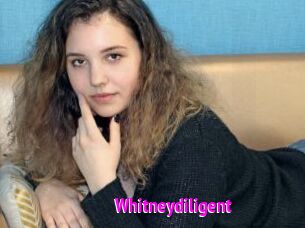Whitneydiligent