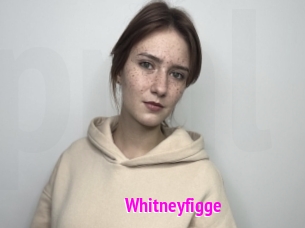 Whitneyfigge