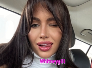 Whitneygill