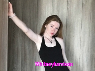 Whitneyharvison