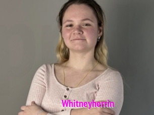 Whitneyherrin