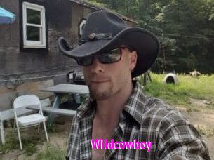 Wildcowboy
