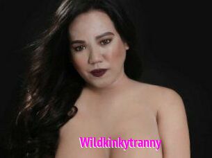 Wildkinkytranny