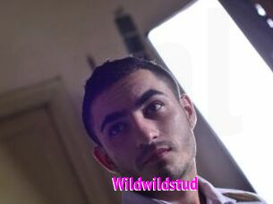 Wildwildstud