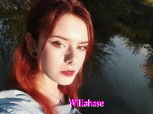 Willahase