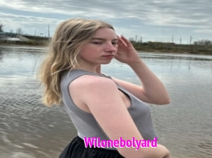Wilonebolyard
