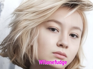 Wilonefudge