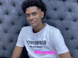 Wilowsacks