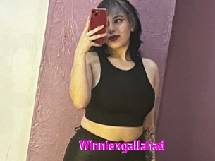 Winniexgallahad