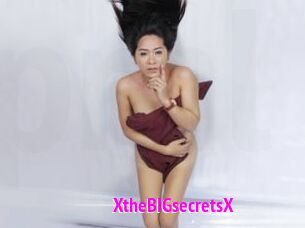 XtheBIGsecretsX